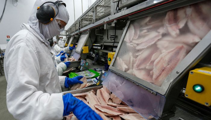 Foto: Jonathan Campos/AEN Receita na exportação de pescados do Paraná cresce mais de 4.600% em cinco anos
